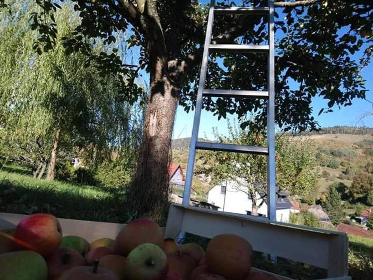 Les Locations De Stephanie ,Gite Le Verger Sondernach Dış mekan fotoğraf
