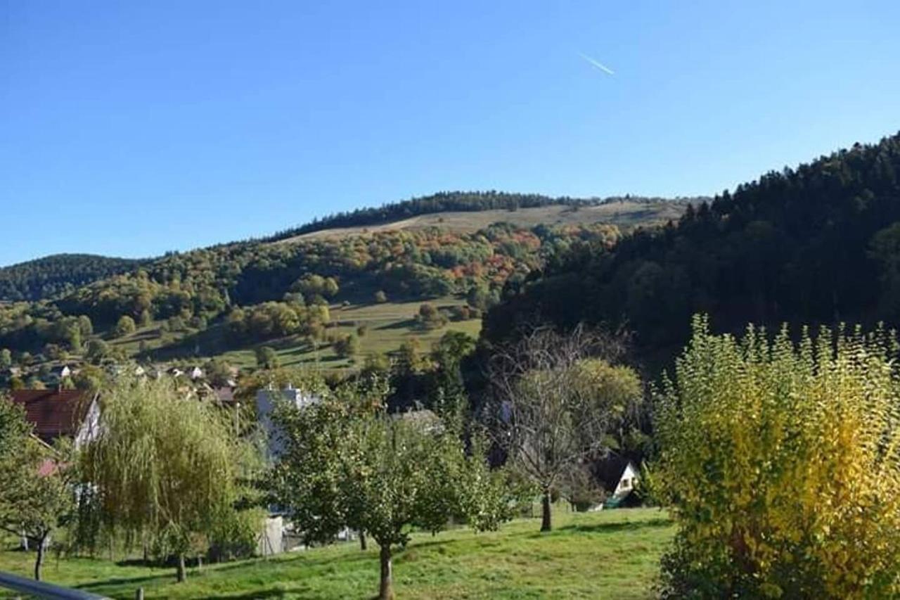 Les Locations De Stephanie ,Gite Le Verger Sondernach Dış mekan fotoğraf