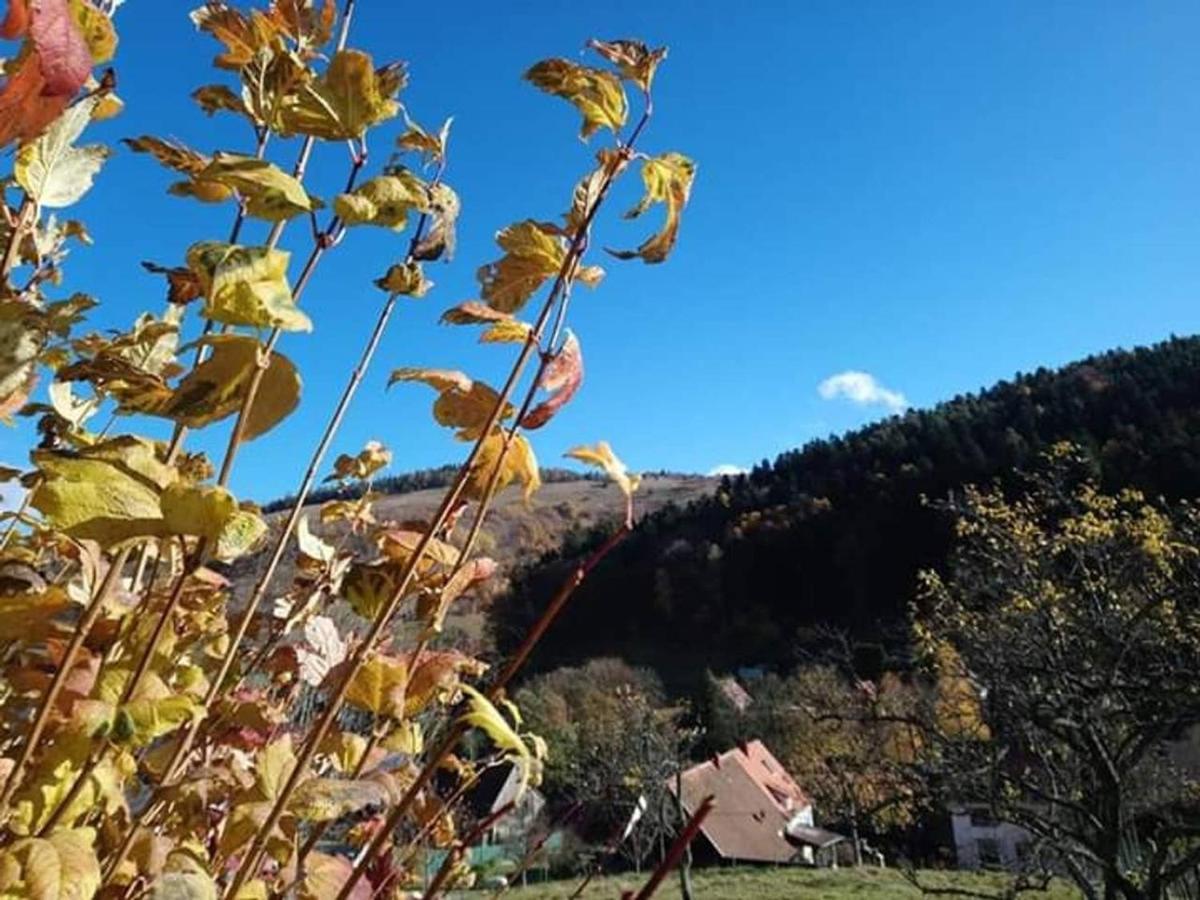 Les Locations De Stephanie ,Gite Le Verger Sondernach Dış mekan fotoğraf