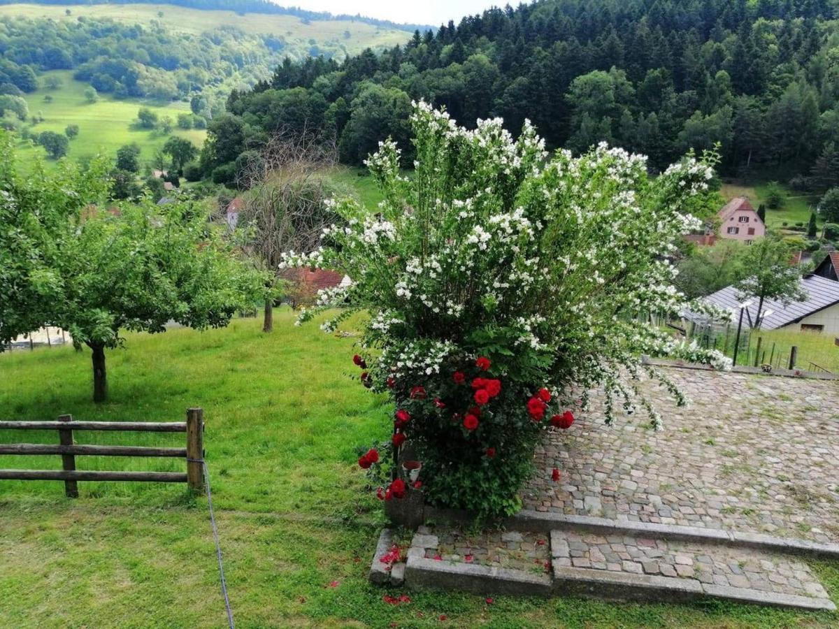 Les Locations De Stephanie ,Gite Le Verger Sondernach Dış mekan fotoğraf