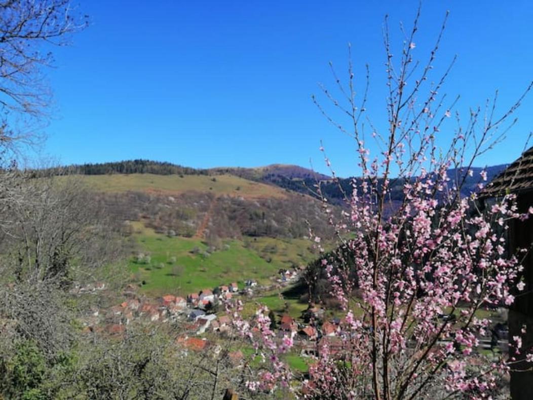 Les Locations De Stephanie ,Gite Le Verger Sondernach Dış mekan fotoğraf