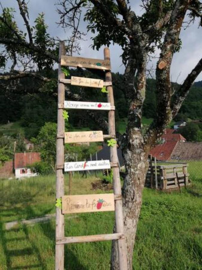 Les Locations De Stephanie ,Gite Le Verger Sondernach Dış mekan fotoğraf
